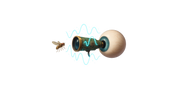 farseer